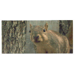 Squirrel Flash Drive