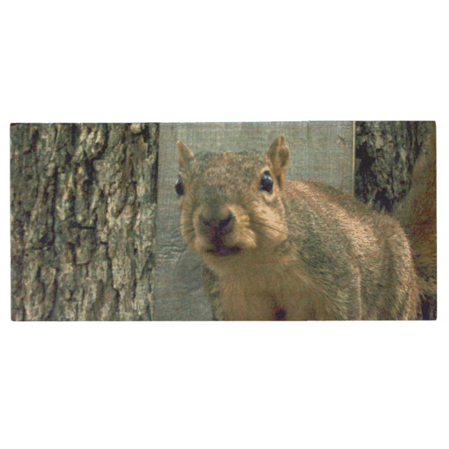 Squirrel Flash Drive (Front)