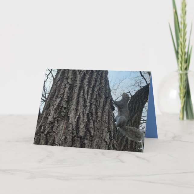 Squirrel Folded Greeting Card. Card (Front)