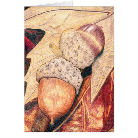 Squirrel Food Cards (Front)