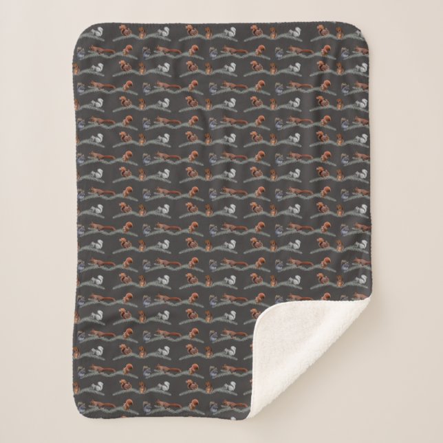 Squirrel Frenzy Sherpa Blanket (Grey) (Front)