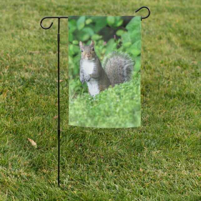 Squirrel Garden Flag (In SItu)