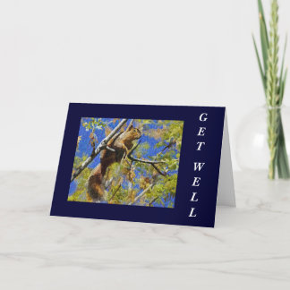Squirrel Get Well Card