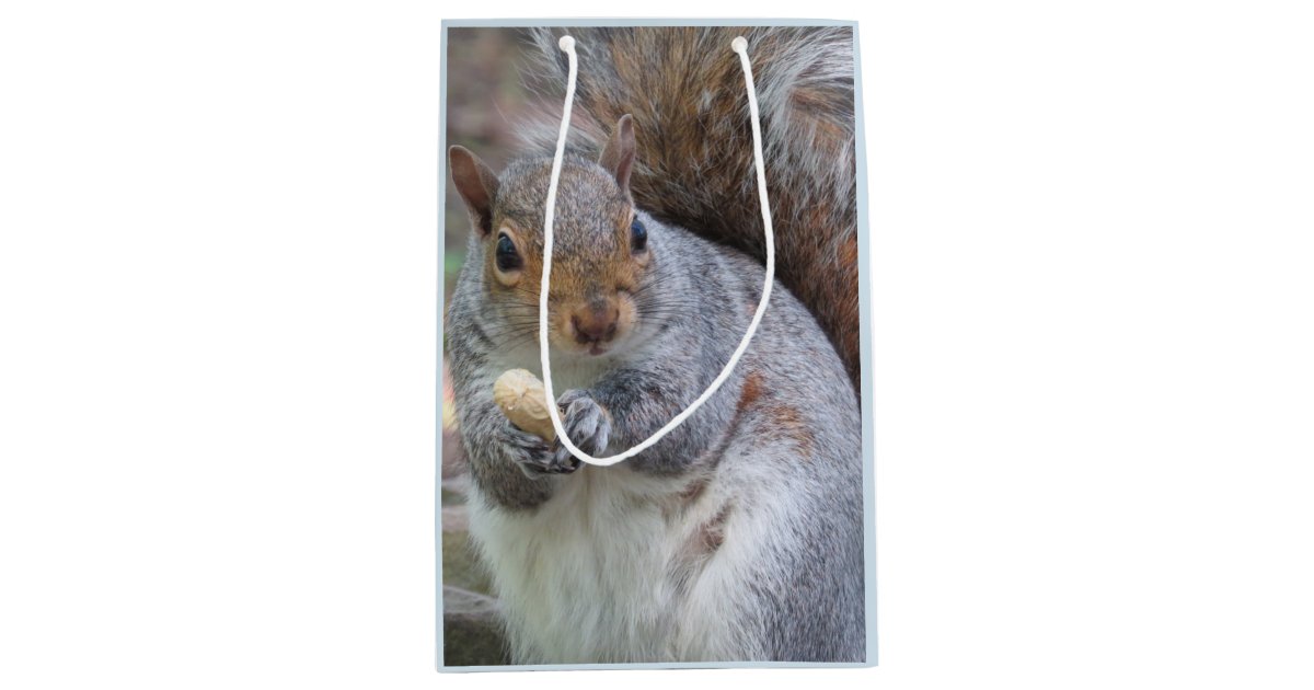 Squirrel Gift Bag Zazzle
