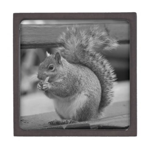 Squirrel Gift Box