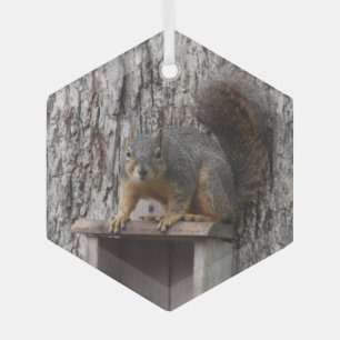 Squirrel glass ornament