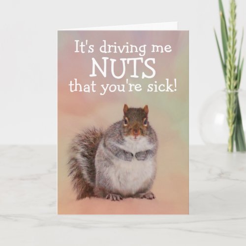 Squirrel Goes Nuts Get Well  Card