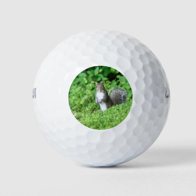 Squirrel Golf Balls (Front)