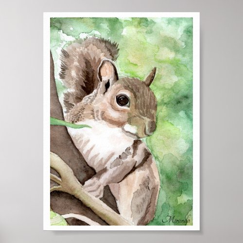 Squirrel Got Nuts Art Print Ready To Frame Miranda