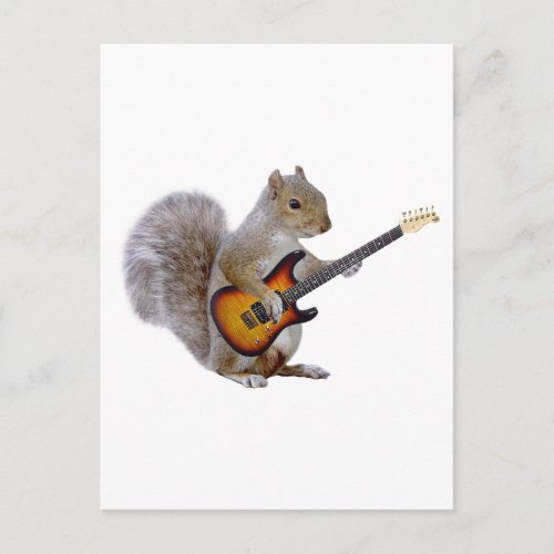 Squirrel Guitar Postcard