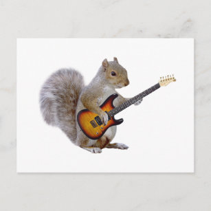 Squirrel Guitar Postcard