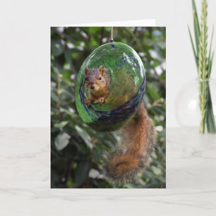 Squirrel Hanging Around Card
