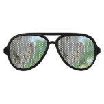 Squirrel Hanging in A Tree Aviator Sunglasses