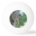 Squirrel Hanging in A Tree Ping-Pong Ball