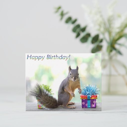 Squirrel Happy Birthday! Postcard | Zazzle