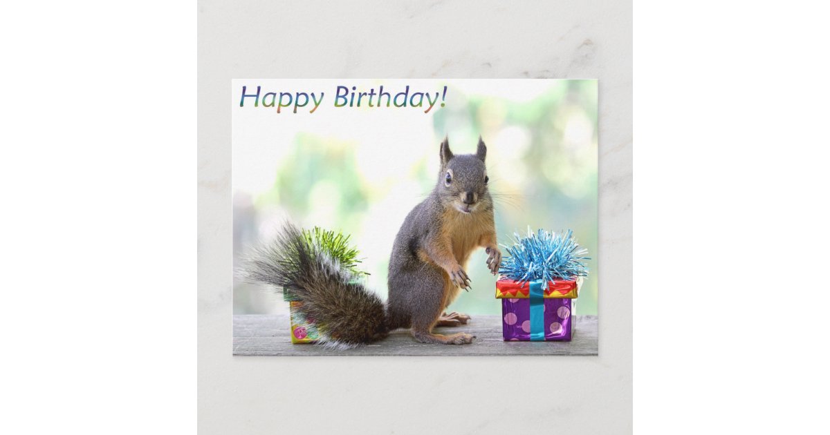 Squirrel Happy Birthday! Postcard | Zazzle