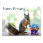 Happy Birthday Squirrel Postcard | Zazzle