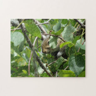 Squirrel Hiding Jigsaw Puzzle