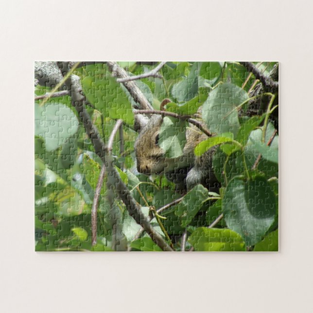 Squirrel Hiding  Jigsaw Puzzle (Horizontal)