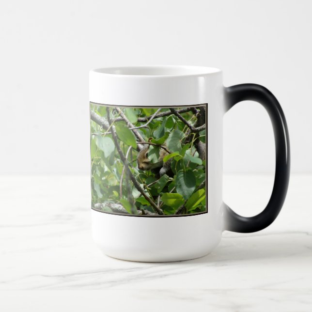 Squirrel Hiding Morphing Mug (Right)