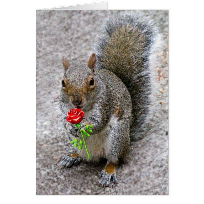 Squirrel Holding a Red Rose Valentine's Card