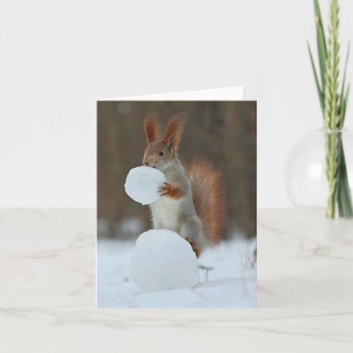 Squirrel Holding  Nibbling Snowball Holiday Card