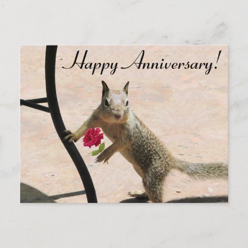 Squirrel Holding Rose Anniversary Card