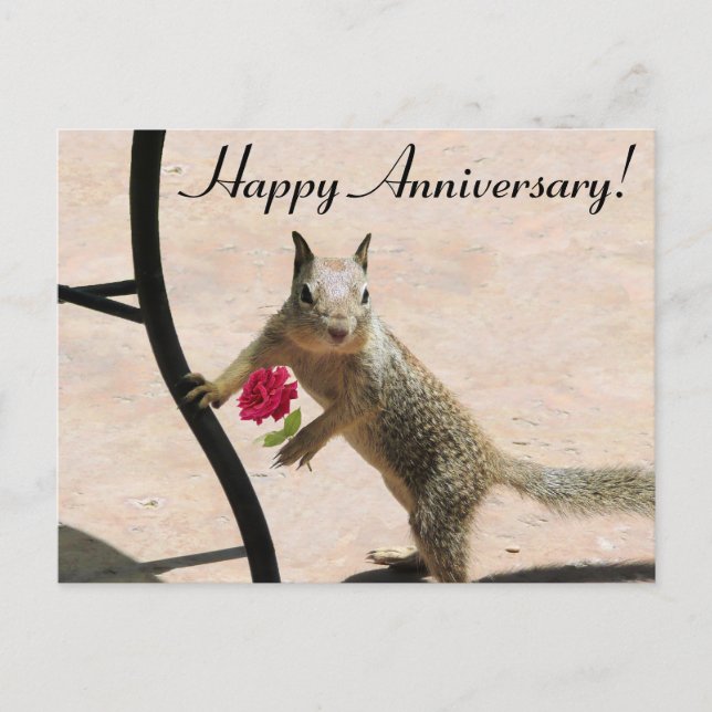 Squirrel Holding Rose Anniversary Card (Front)