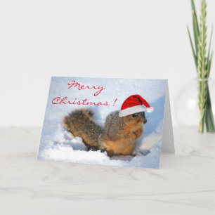 Squirrel Holiday Card