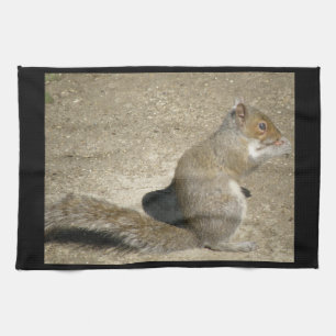 Squirrel Hungry Horatio Kitchen Towel