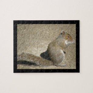 Squirrel Hungry Horatio Puzzle