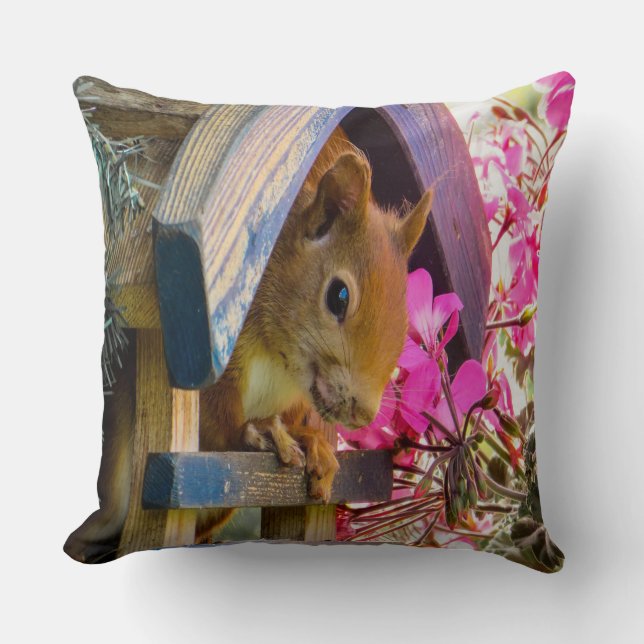 Squirrel In A Birdhouse Throw Pillow (Front)