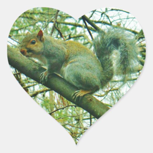 Squirrel in a Light Blue Mist Heart Sticker