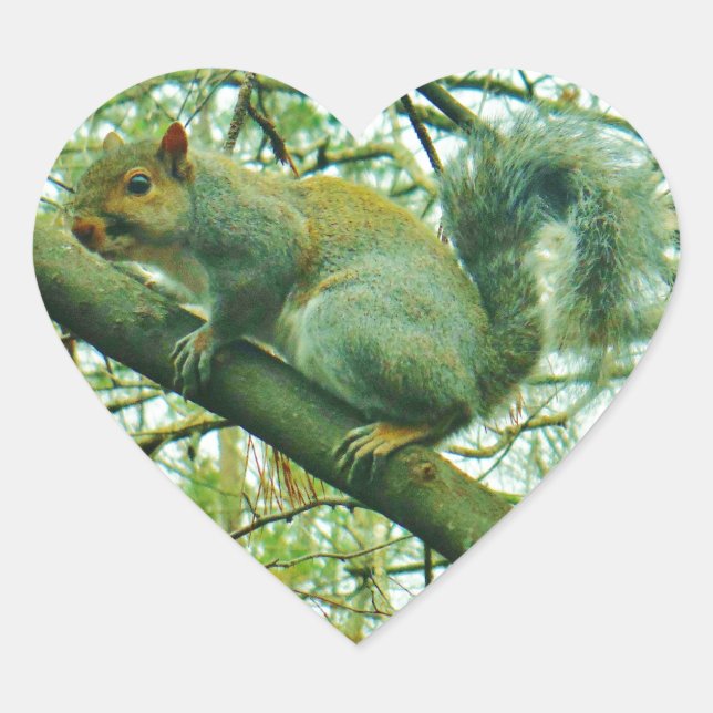 Squirrel in a Light Blue Mist Heart Sticker (Front)