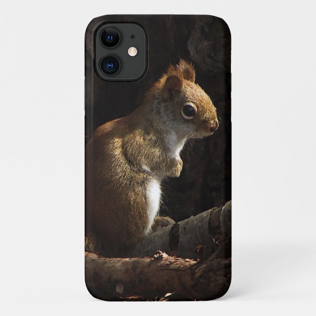 Squirrel in a Patch of Sunlight iPhone 11 Case