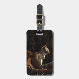 Squirrel in a Patch of Sunlight Luggage Tag