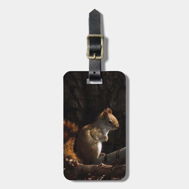 Squirrel in a Patch of Sunlight Luggage Tag (Front Vertical)