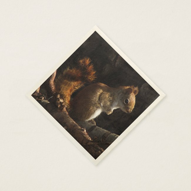 Squirrel in a Patch of Sunlight Paper Napkins