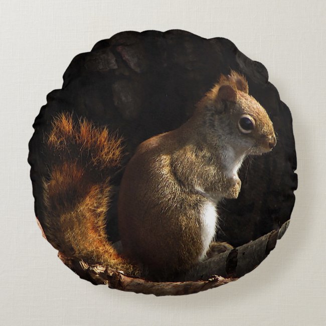 Squirrel in a Patch of Sunlight Round Pillow