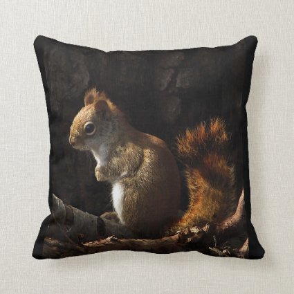 Squirrel in a Patch of Sunlight Throw Pillow