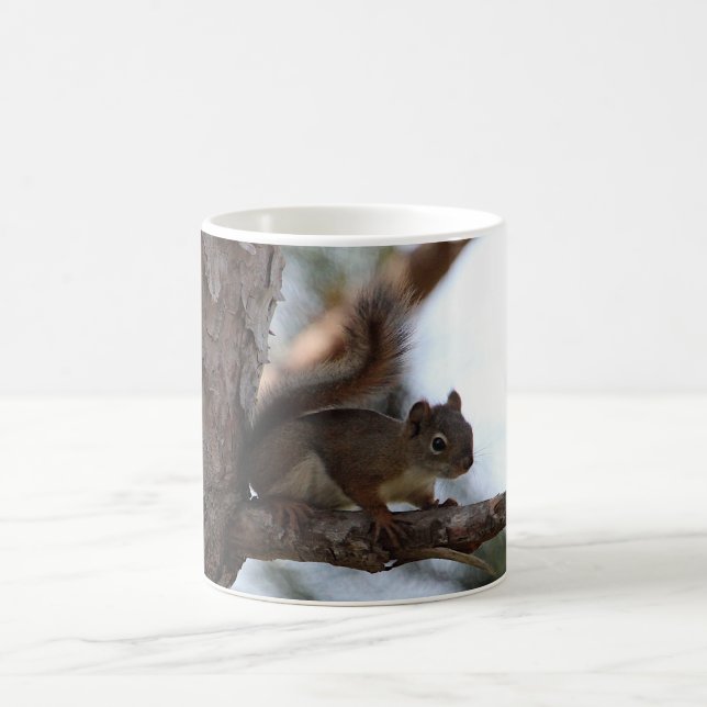Squirrel in a Pine Tree Coffee Mug (Center)