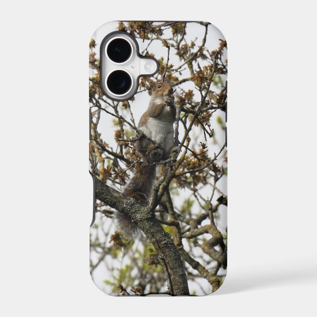 Squirrel in a Tree Iphone Case (Back)