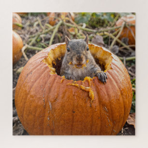 Squirrel in an Autumn Pumpkin Jigsaw Puzzle