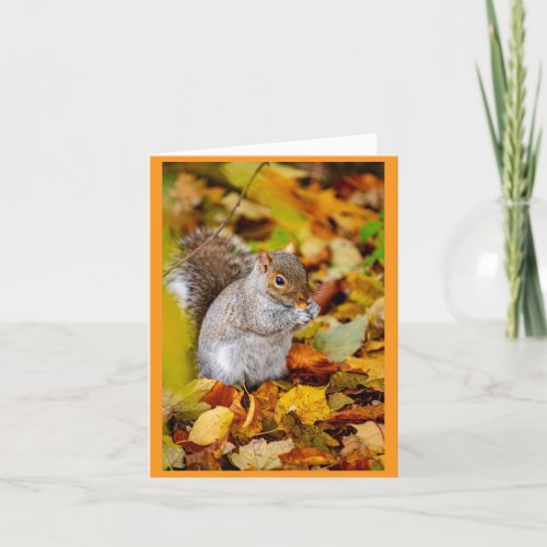 Squirrel In Autumn Leaves Greeting Card