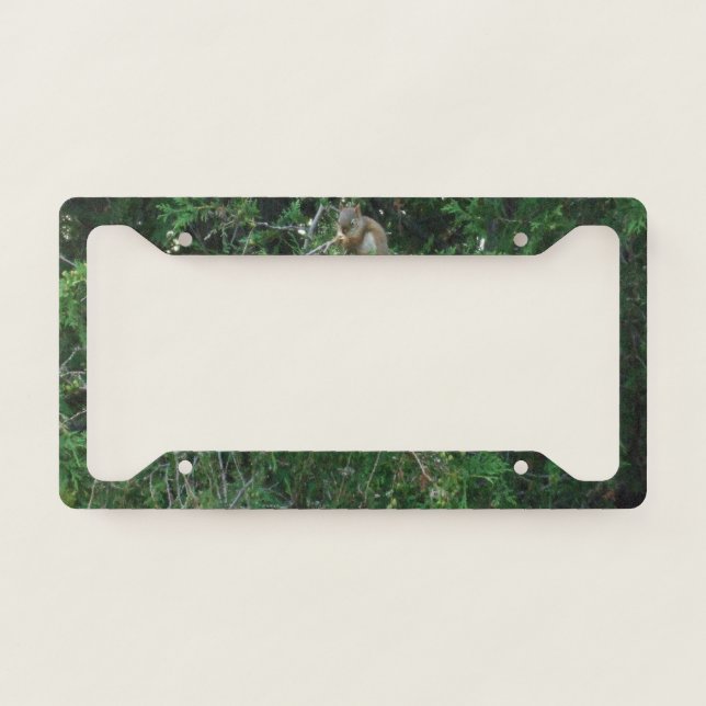 Squirrel in Cedar Tree License Plate Frame (Front)