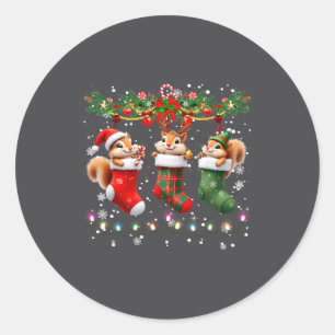Squirrel In Christmas Socks Lights Squirrel Xmas  Classic Round Sticker