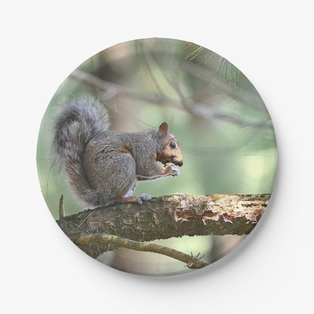Squirrel In Forest Paper Plate (Front)