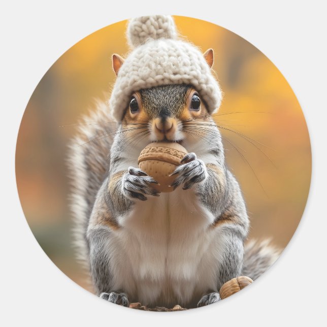 Squirrel in Knit Hat Holding Nut Classic Round Sticker (Front)