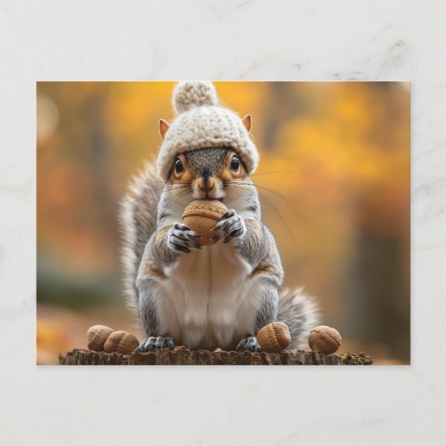 Squirrel in Knit Hat Holding Nut Holiday Postcard (Front)