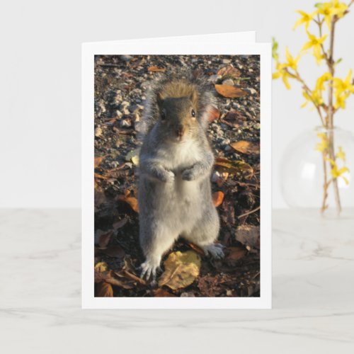 Squirrel in Leaves Card